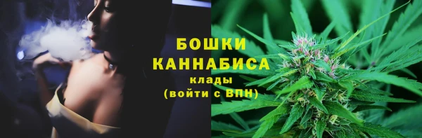 сатива Балахна
