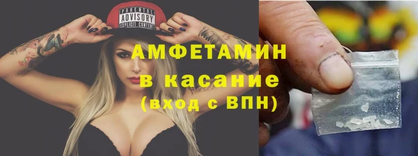 сатива Балахна