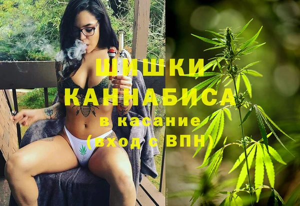 сатива Балахна