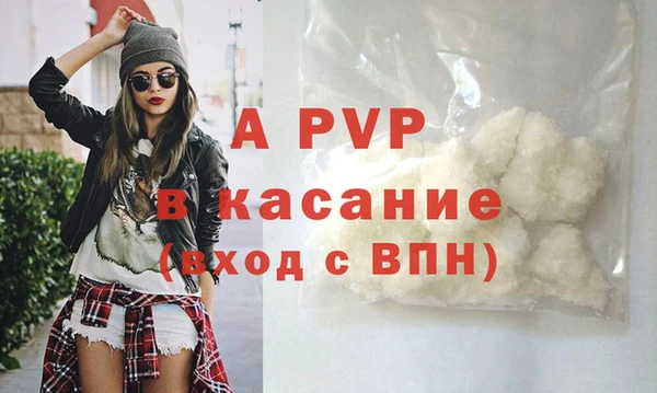 сатива Балахна