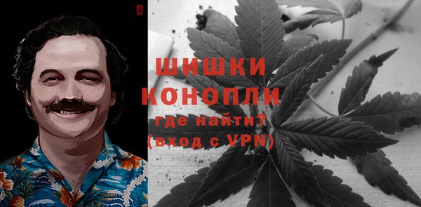 сатива Балахна