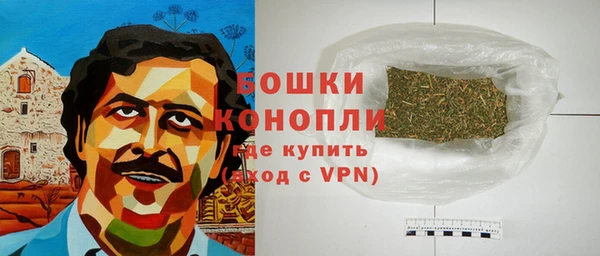 сатива Балахна