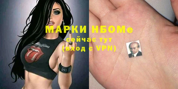сатива Балахна