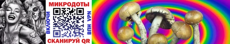 OMG ссылки  Петровск-Забайкальский  Галлюциногенные грибы MAGIC MUSHROOMS 